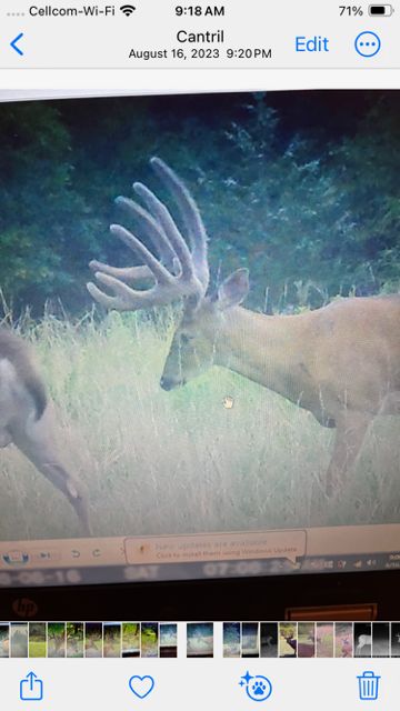 Property for sale in Van Buren County, Iowa