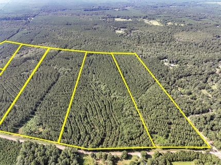 Undeveloped Land for sale in Tyler County, Texas