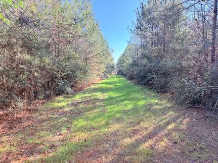 Property for sale in Pike County, Mississippi