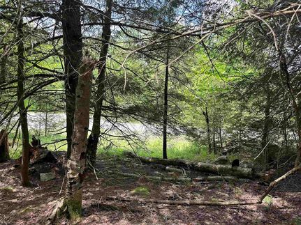 Property for sale in Tucker County, West Virginia