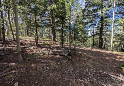 Undeveloped Land for sale in Teller County, Colorado