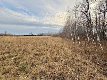 Undeveloped Land for sale in Kanabec County, Minnesota