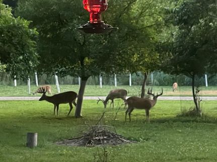 Property for sale in Tazewell County, Illinois