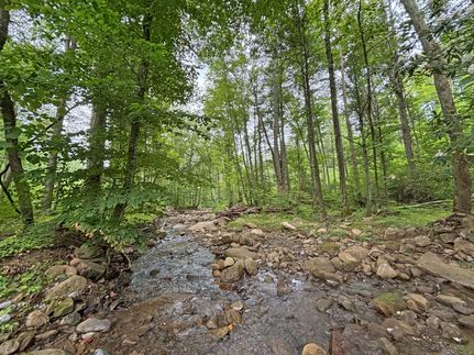 Property for sale in Summers County, West Virginia