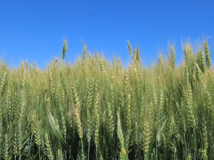 Property for sale in Clay County, Minnesota