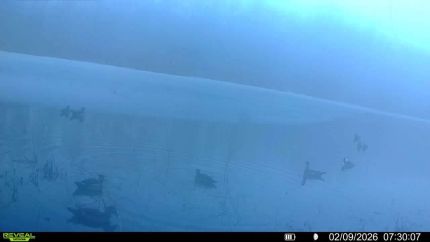 Recreational Property for sale in Crittenden County, Arkansas