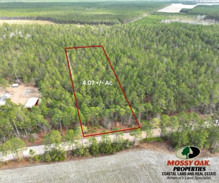 Undeveloped Land for sale in Appling County, Georgia