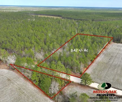 Property for sale in Appling County, Georgia
