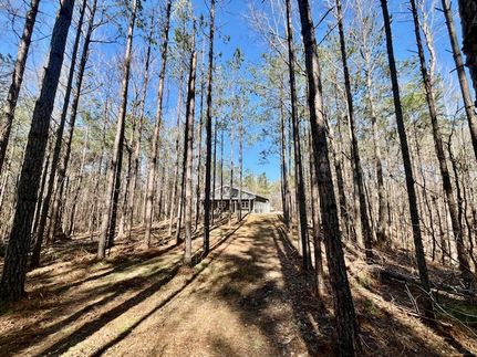 Property for sale in Union County, Mississippi