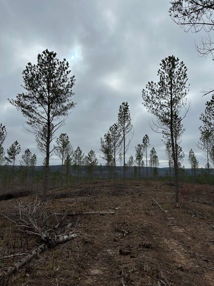 Property for sale in Cumberland County, Tennessee