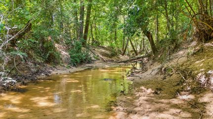 Commercial Property for sale in Tyler County, Texas