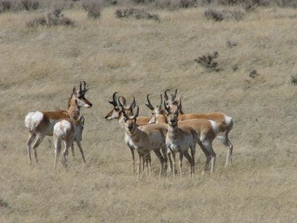 Property for sale in Niobrara County, Wyoming