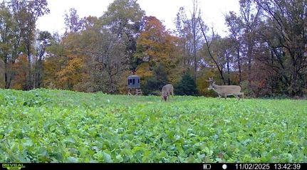 Recreational Property for sale in Metcalfe County, Kentucky