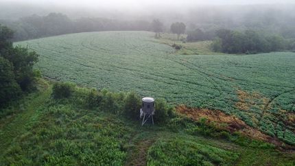 Timberland Property for sale in Decatur County, Iowa