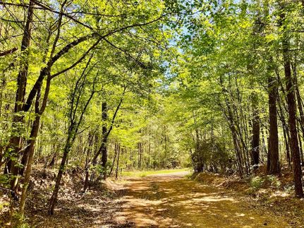 Property for sale in Webster Parish, Louisiana