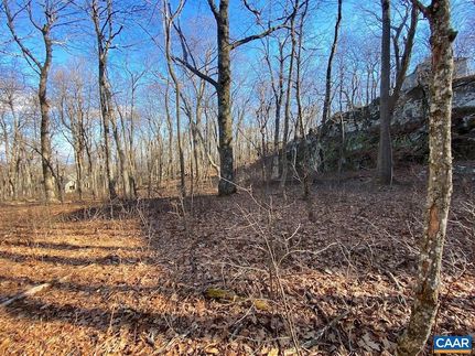 Undeveloped Land for sale in Nelson County, Virginia