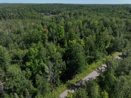 Undeveloped Land for sale in Langlade County, Wisconsin