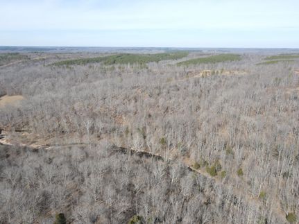 Hunting Land for sale in Stewart County, Tennessee