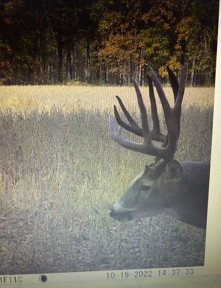 Recreational Property for sale in Van Buren County, Iowa