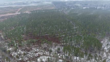 Property for sale in Pike County, Arkansas