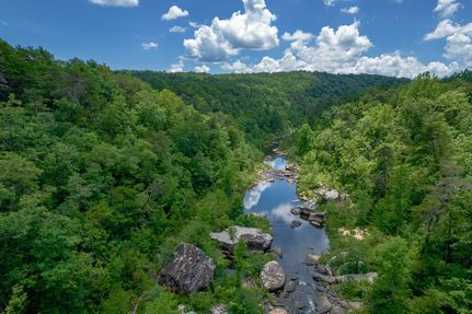 Riverfront Property for sale in Cherokee County, Alabama