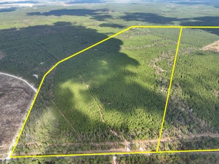 Ranch Property for sale in Walker County, Texas