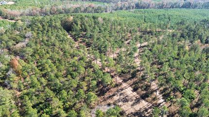 Property for sale in Lee County, Alabama