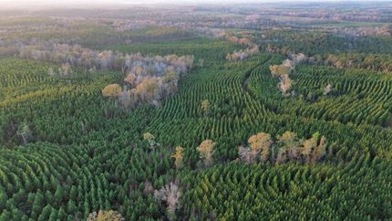 Property for sale in Russell County, Alabama