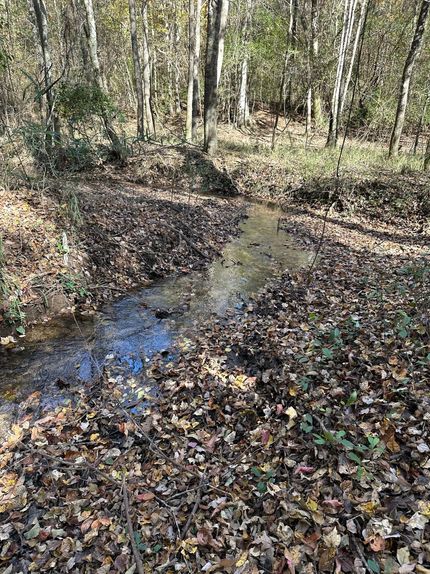 Recreational Property for sale in Barbour County, Alabama