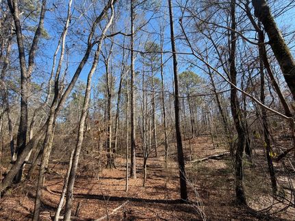 Timberland Property for sale in Hale County, Alabama