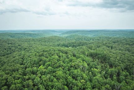 Property for sale in Dent County, Missouri