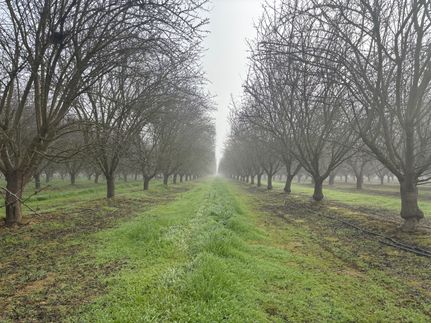 Property for sale in Kern County, California