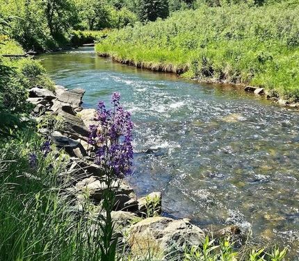 Riverfront Property for sale in Pennington County, South Dakota