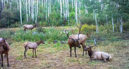 Property for sale in Montrose County, Colorado