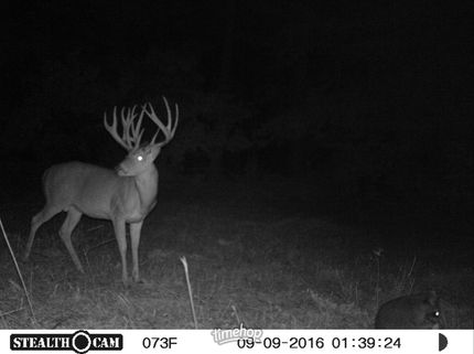 Property for sale in White County, Arkansas