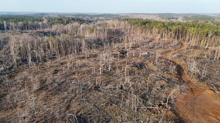 Property for sale in Yalobusha County, Mississippi