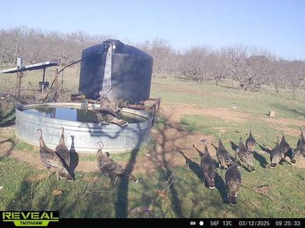 Property for sale in Mills County, Texas