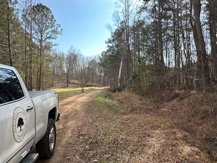 Hunting Land for sale in Polk County, Georgia