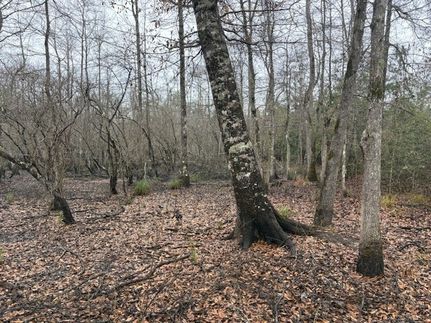 Residential Property for sale in Tyler County, Texas