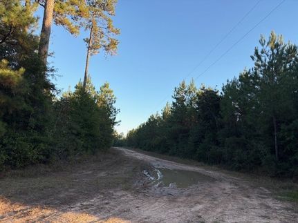 Property for sale in Tyler County, Texas