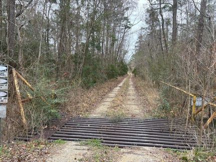 Timberland Property for sale in Liberty County, Texas