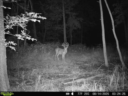 Property for sale in Wayne County, Illinois