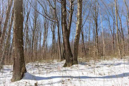 Recreational Property for sale in Preston County, West Virginia