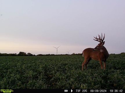 Property for sale in Bourbon County, Kansas