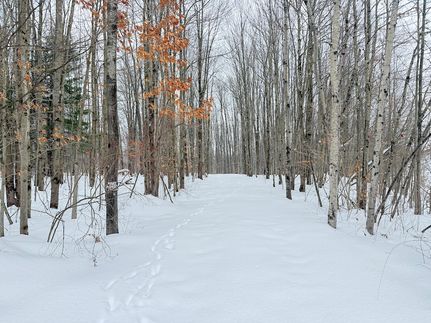 Property for sale in Erie County, Pennsylvania