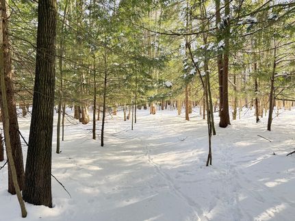 Hunting Land for sale in Crawford County, Pennsylvania