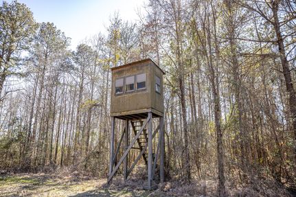 Property for sale in Amite County, Mississippi