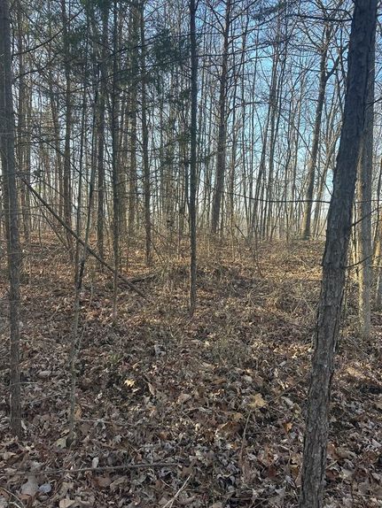 Property for sale in Fentress County, Tennessee