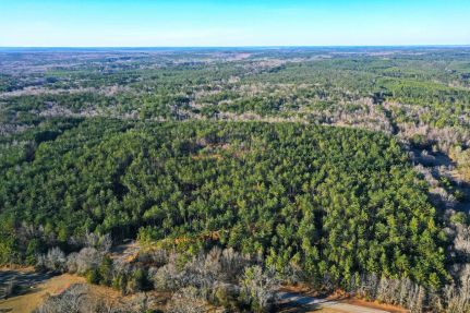 Recreational Property for sale in Attala County, Mississippi