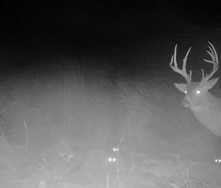 Property for sale in Coffey County, Kansas